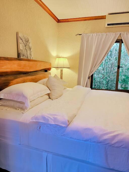 Vive Utila - Bed & Breakfast Exterior foto