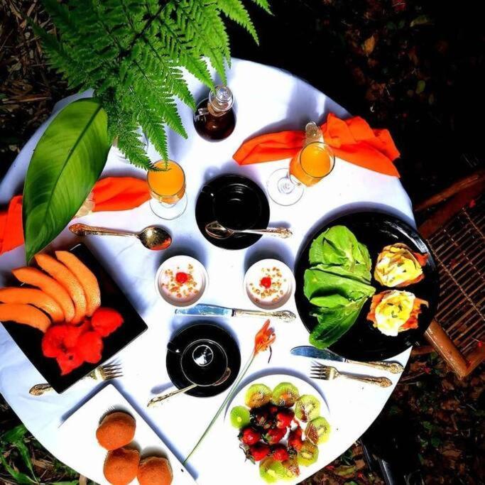 Vive Utila - Bed & Breakfast Exterior foto